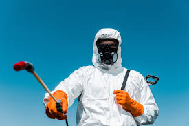 Real Estate Pest Inspections in Cross Mountain, TX